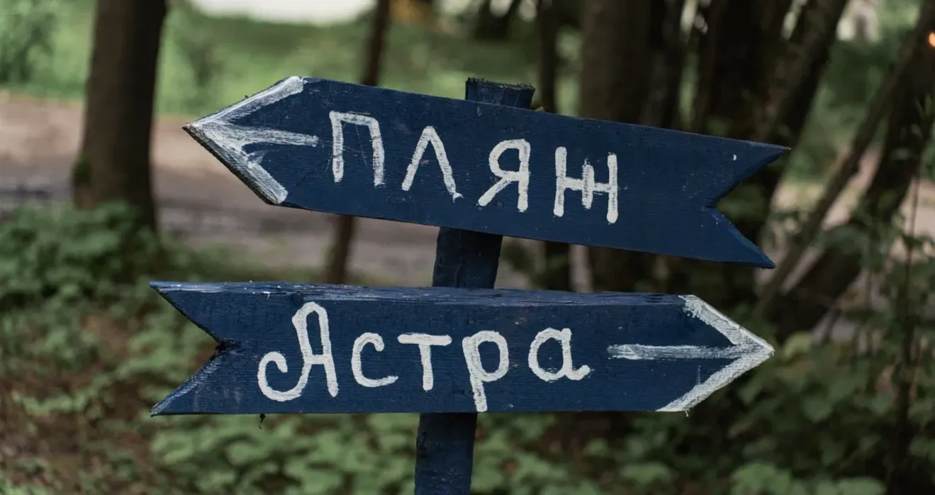 Веревочный курс летом на локации у реки в Подмосковье